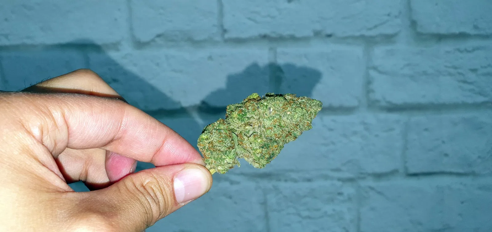 Orange Slush cannabis flower from the original UK review archive.