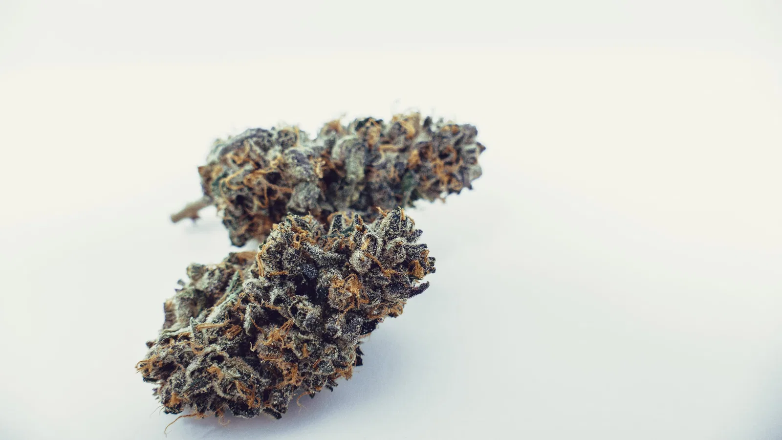 OZK cannabis flower from the original UK review archive.