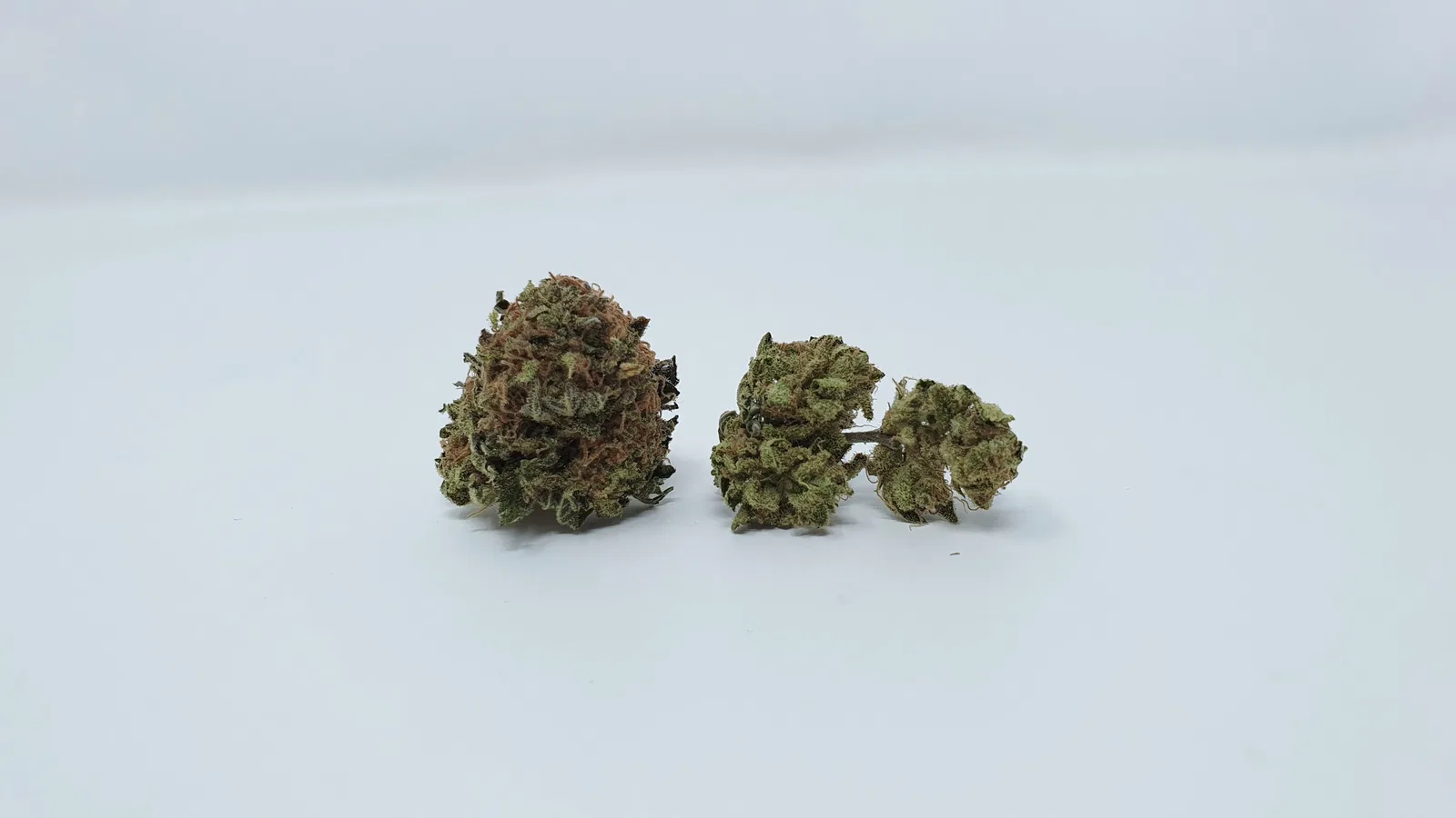 Phantom OG cannabis flower from the original UK review archive.