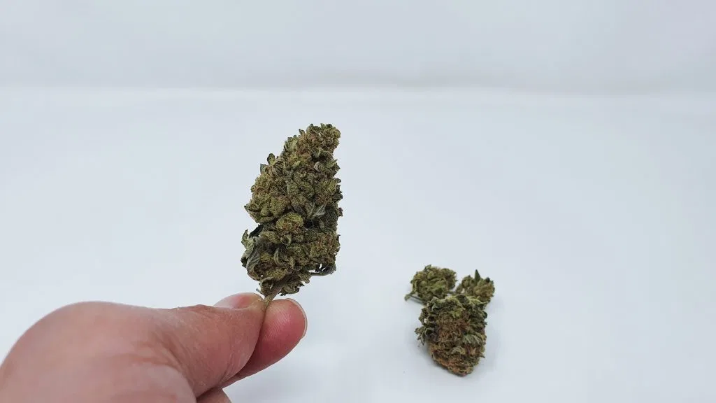 Phantom OG