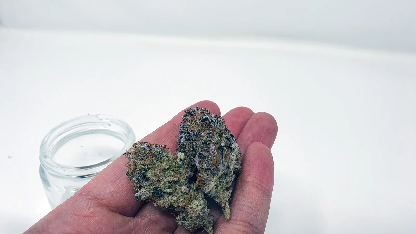 Platinum Jelly cannabis flower from the original UK review archive.