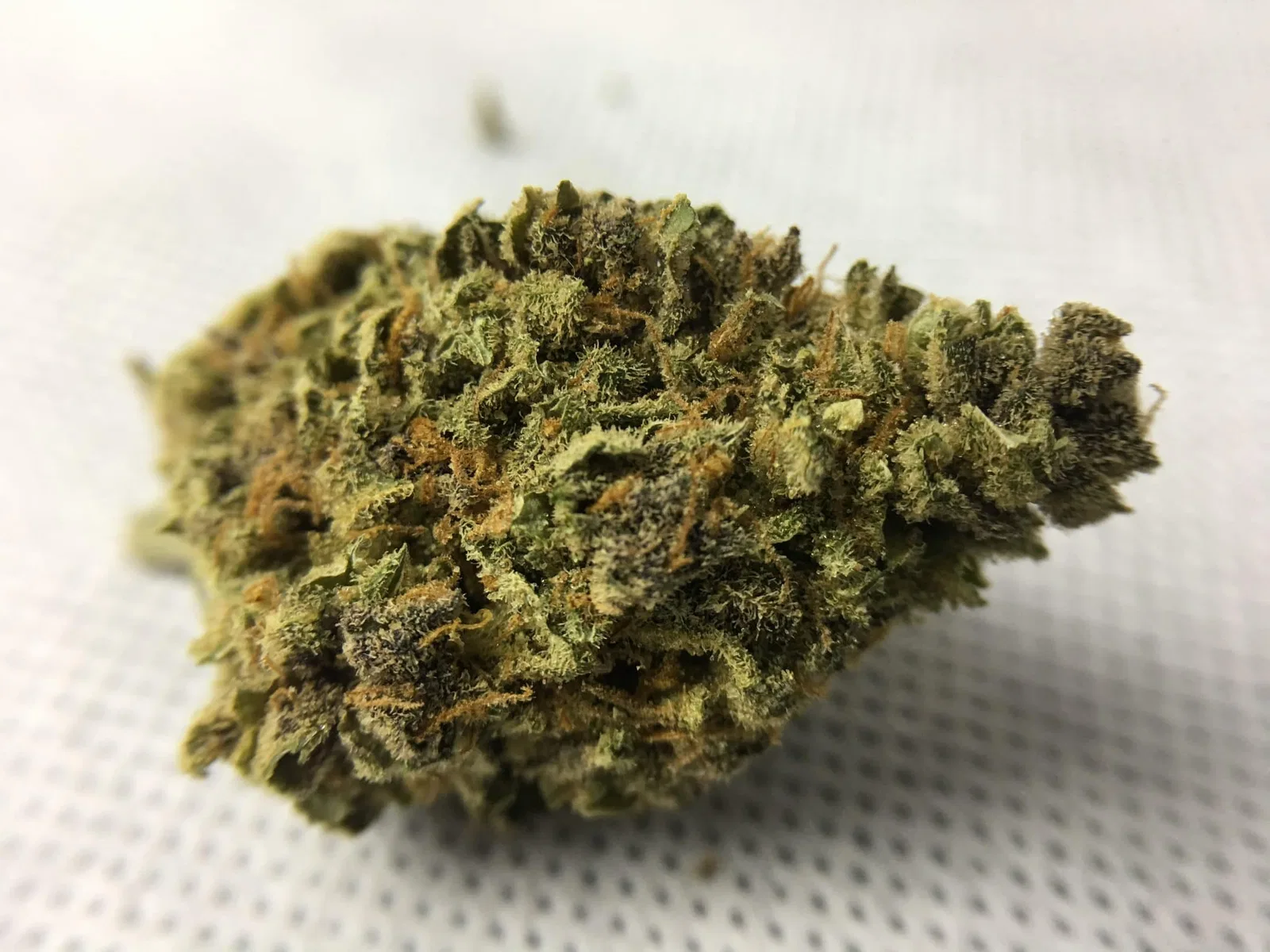 Purple Mother of Berries cannabis flower from the original UK review archive.