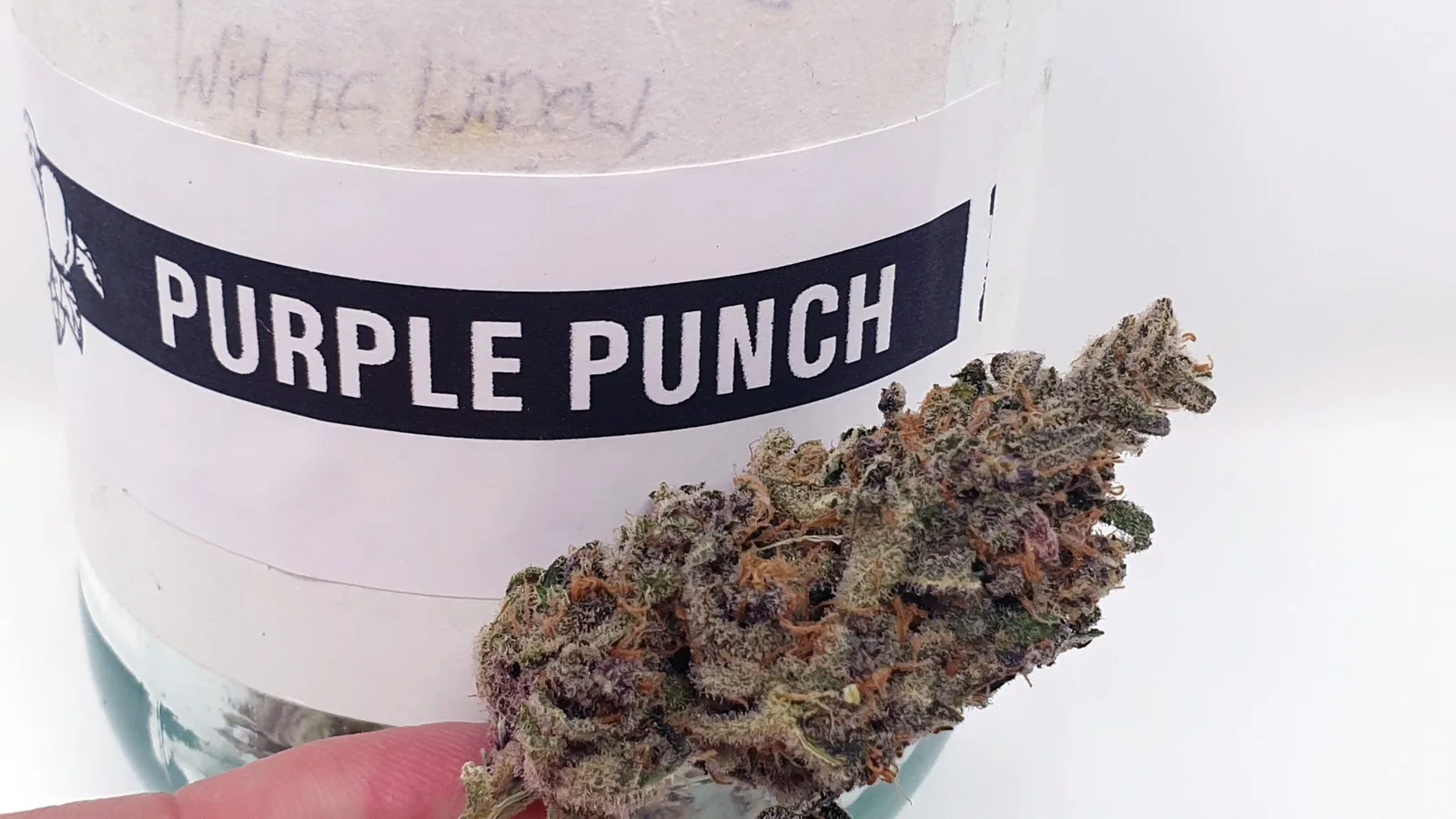 Purple Punch