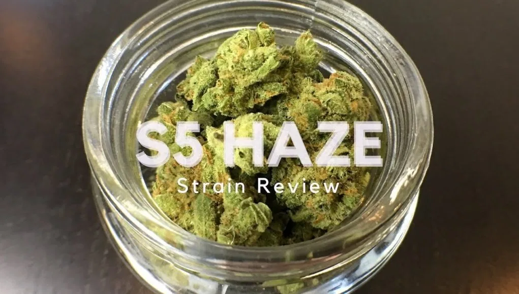S5 Haze