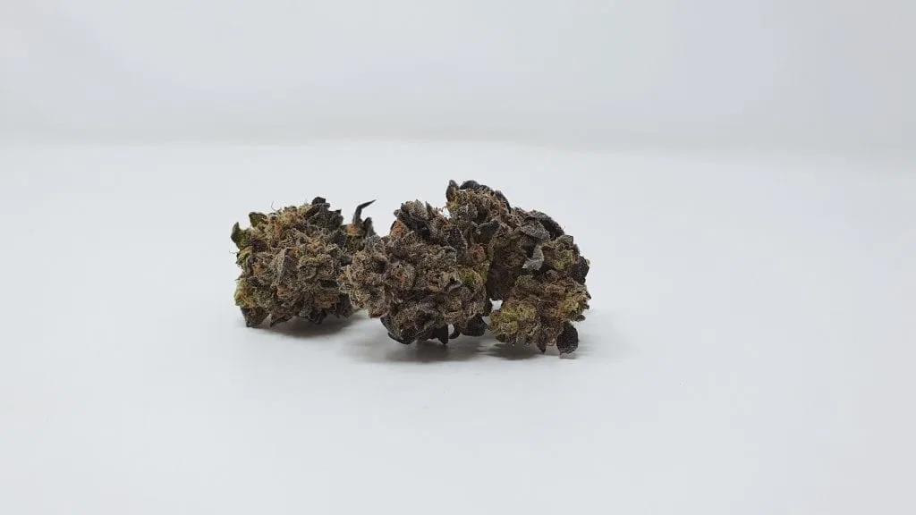 Sherb Crasher cannabis flower from the original UK review archive.
