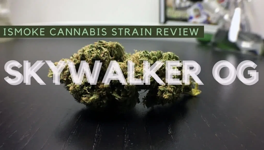 Skywalker OG cannabis flower from the original UK review archive.