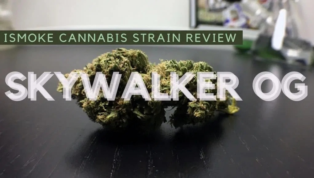 Skywalker OG cannabis flower from the original UK review archive.