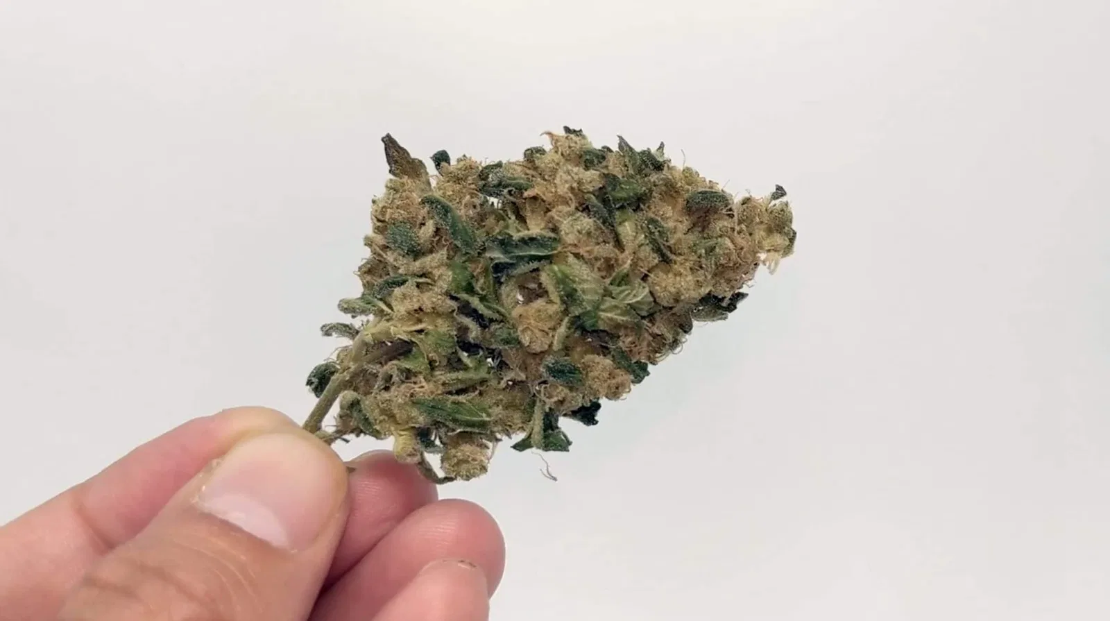 Sour Banana Sherbet cannabis flower from the original UK review archive.