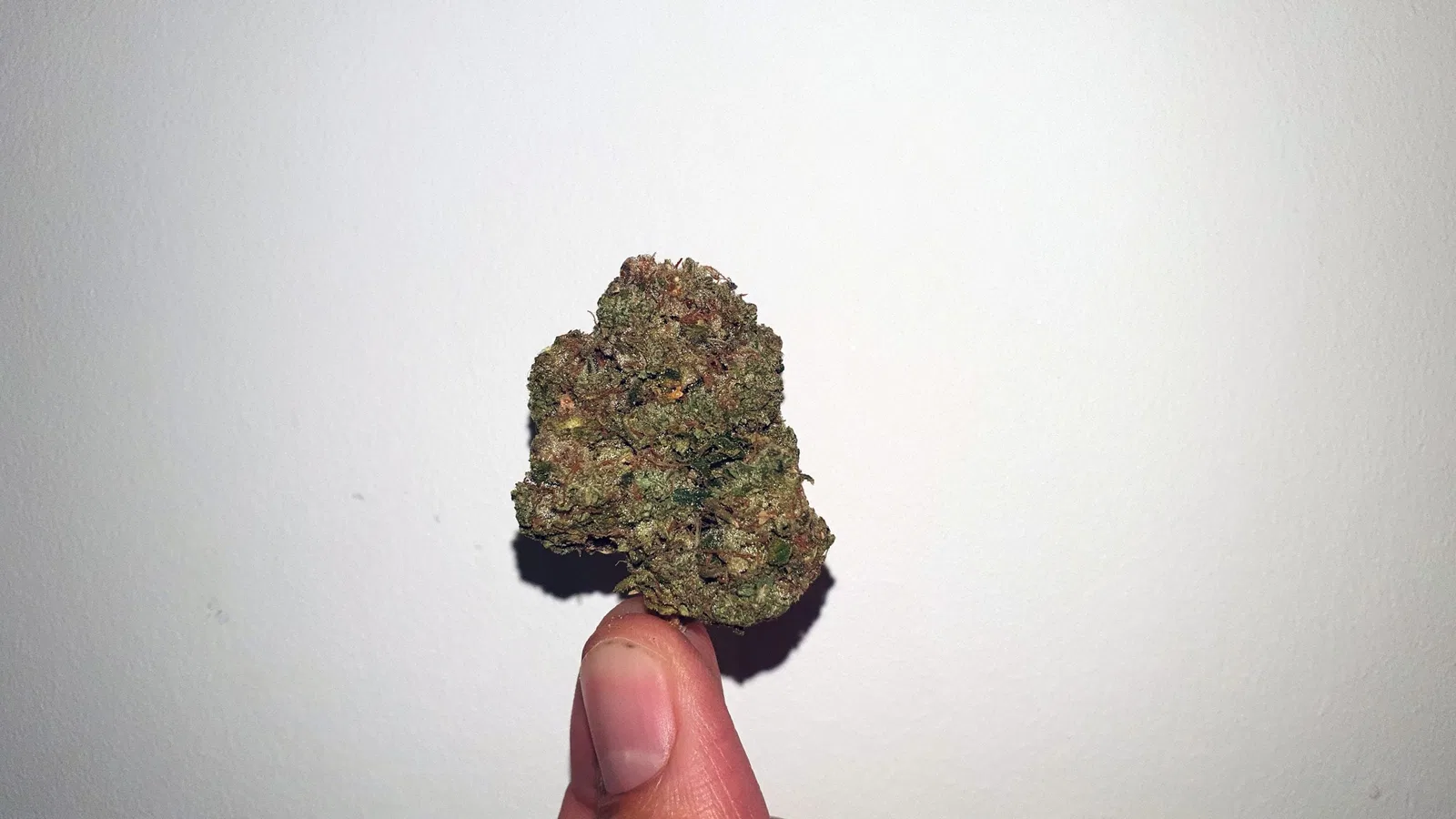 Sour Diesel Bx2 cannabis flower from the original UK review archive.