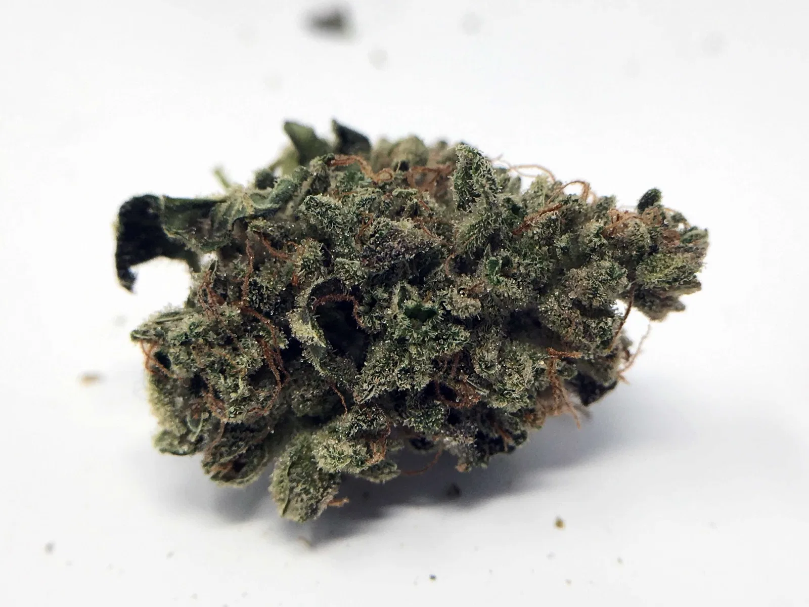 Sour Diesel Haze