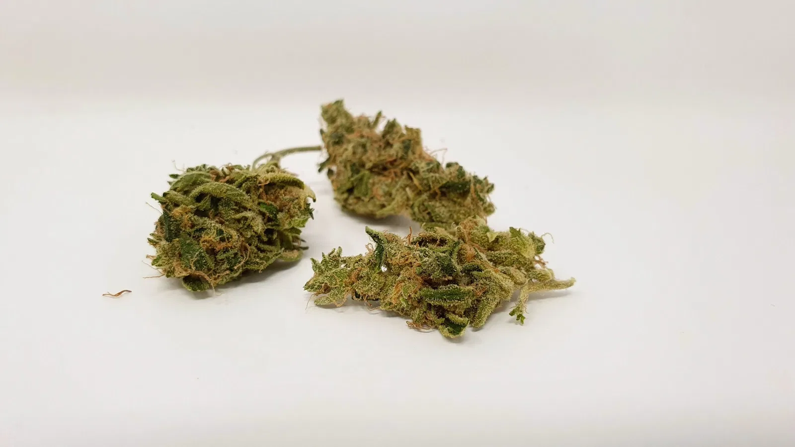 Sour Tangie cannabis flower from the original UK review archive.