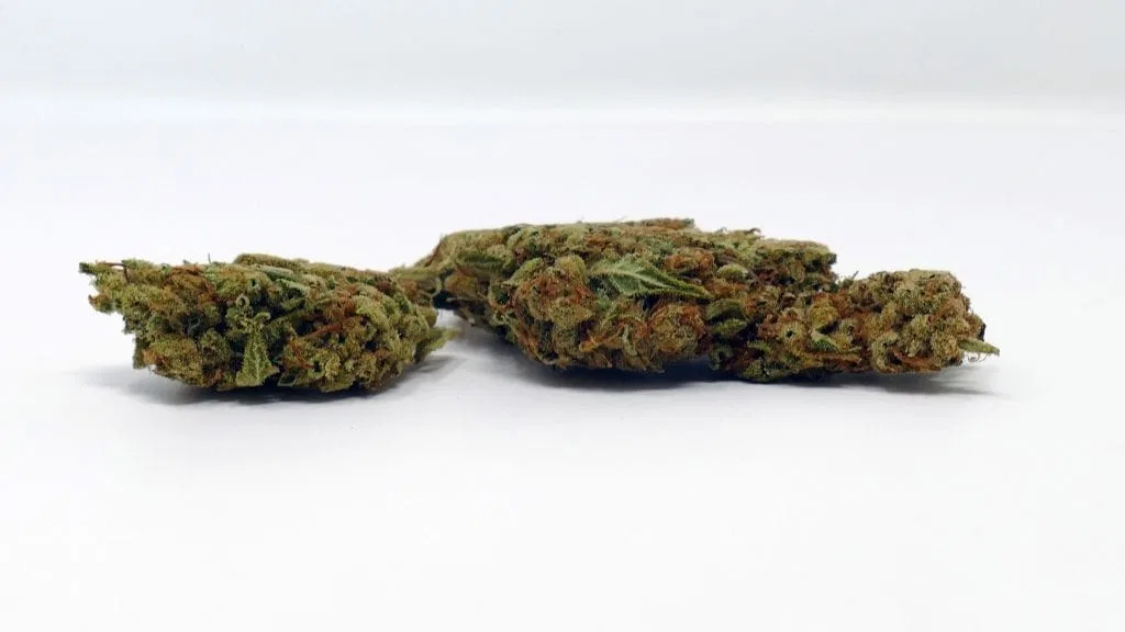 SSSDH cannabis flower from the original UK review archive.