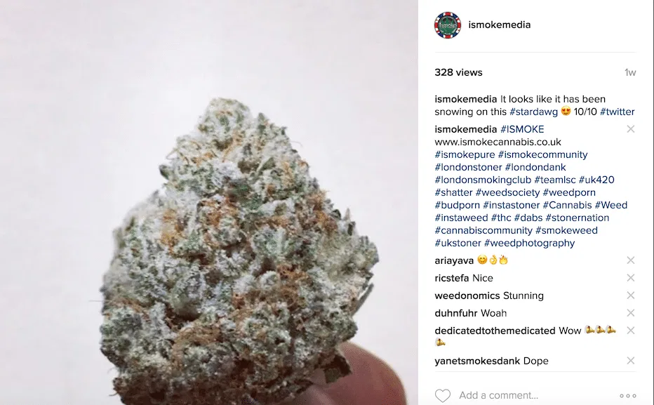 Stardawg cannabis flower from the original UK review archive.