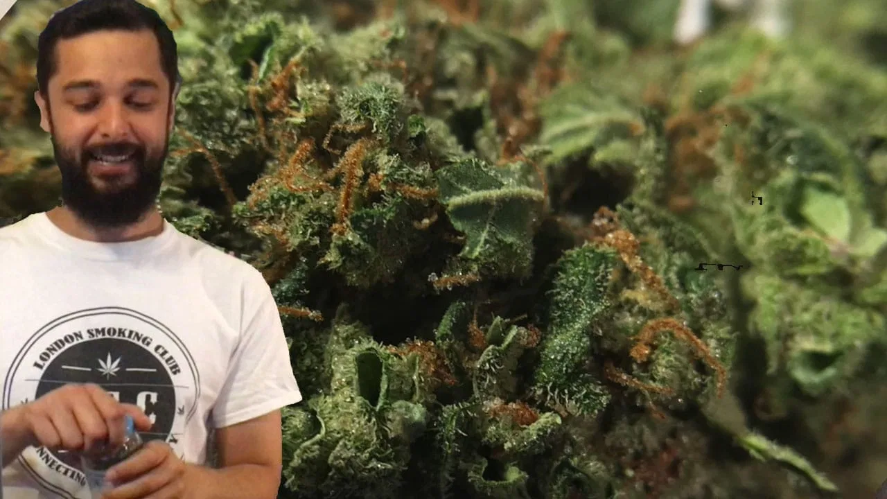 Super Bud cannabis flower from the original UK review archive.
