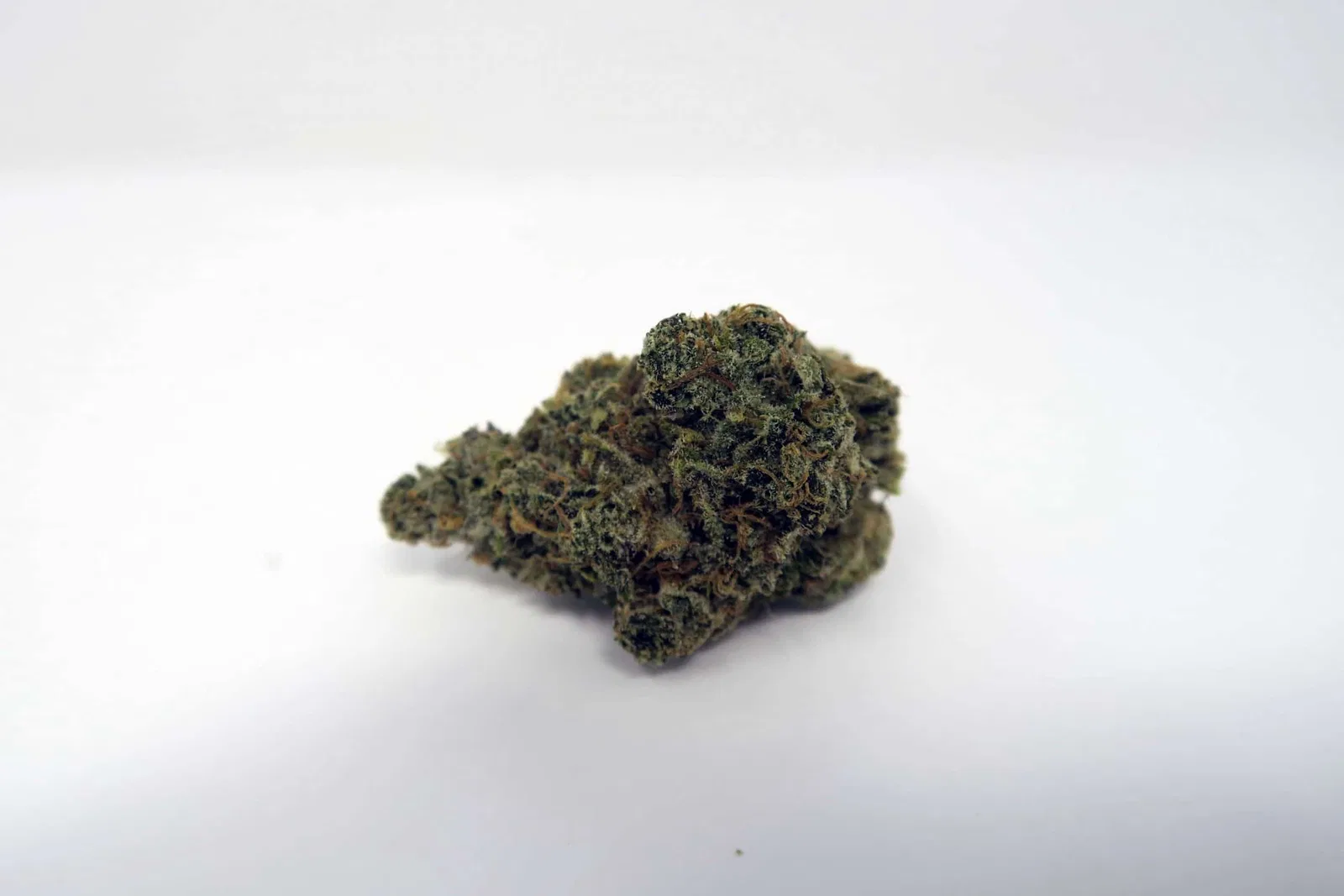 Super Orange Glue cannabis flower from the original UK review archive.