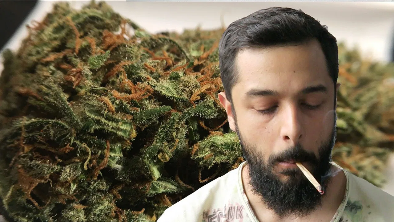 Super Silver Haze cannabis flower from the original UK review archive.
