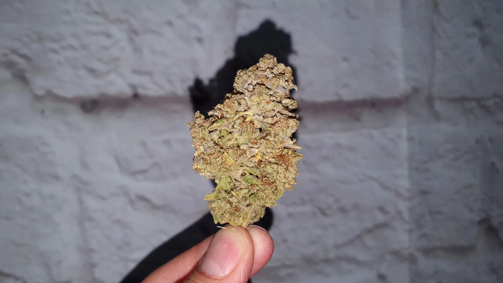Yeti OG cannabis flower from the original UK review archive.