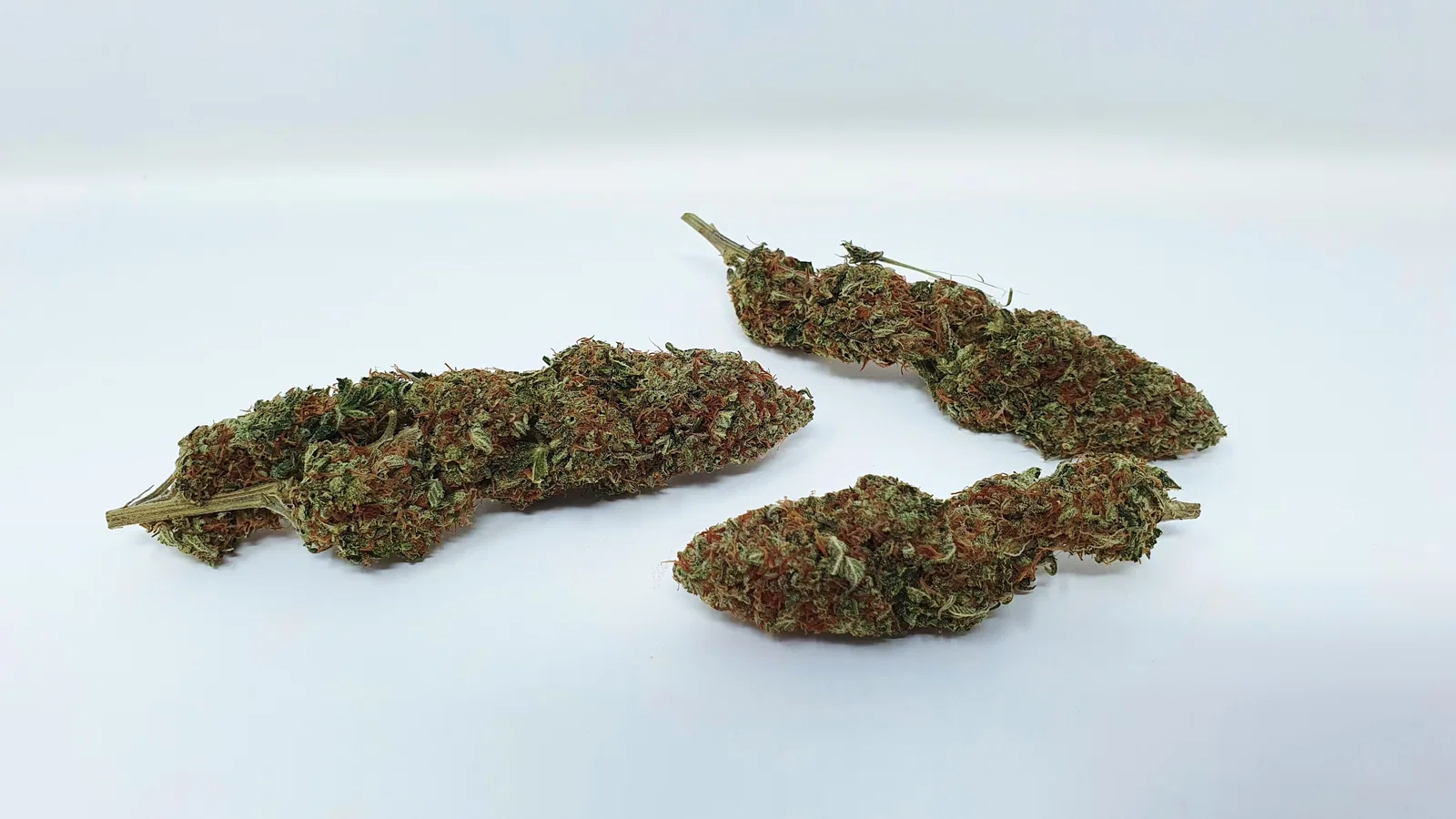Yuzu Kush