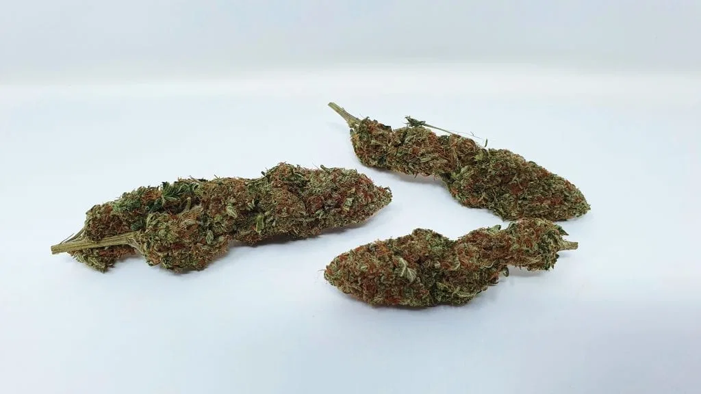 Yuzu Kush