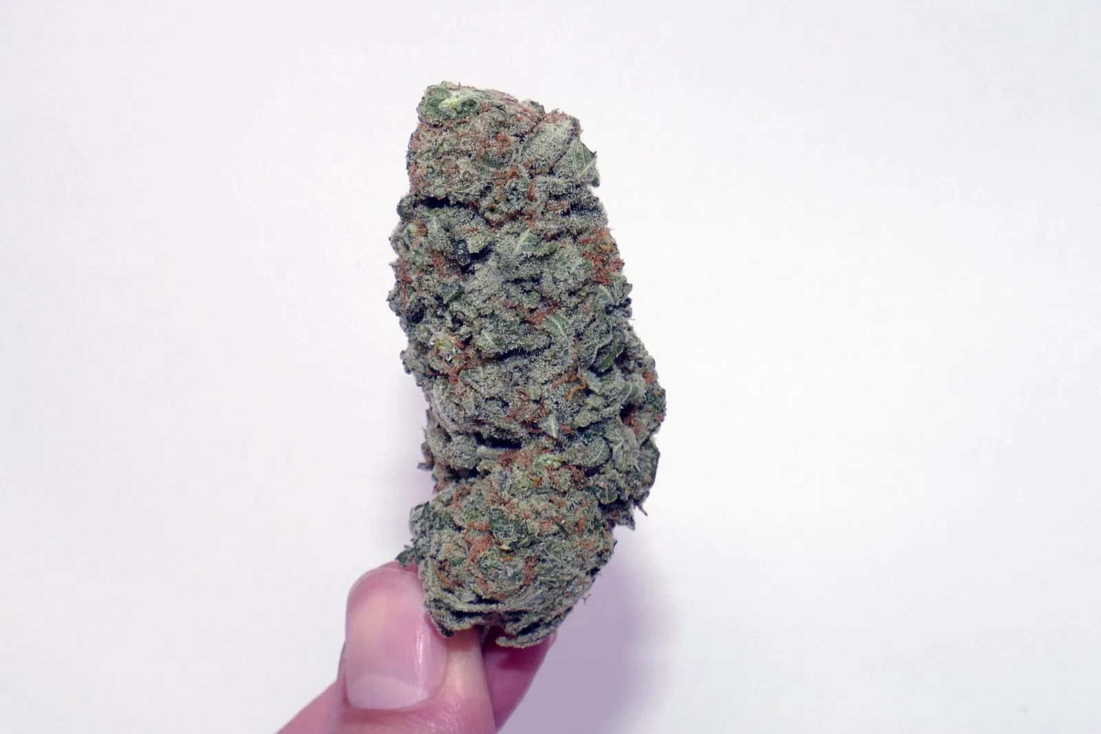 Zed cannabis flower from the original UK review archive.