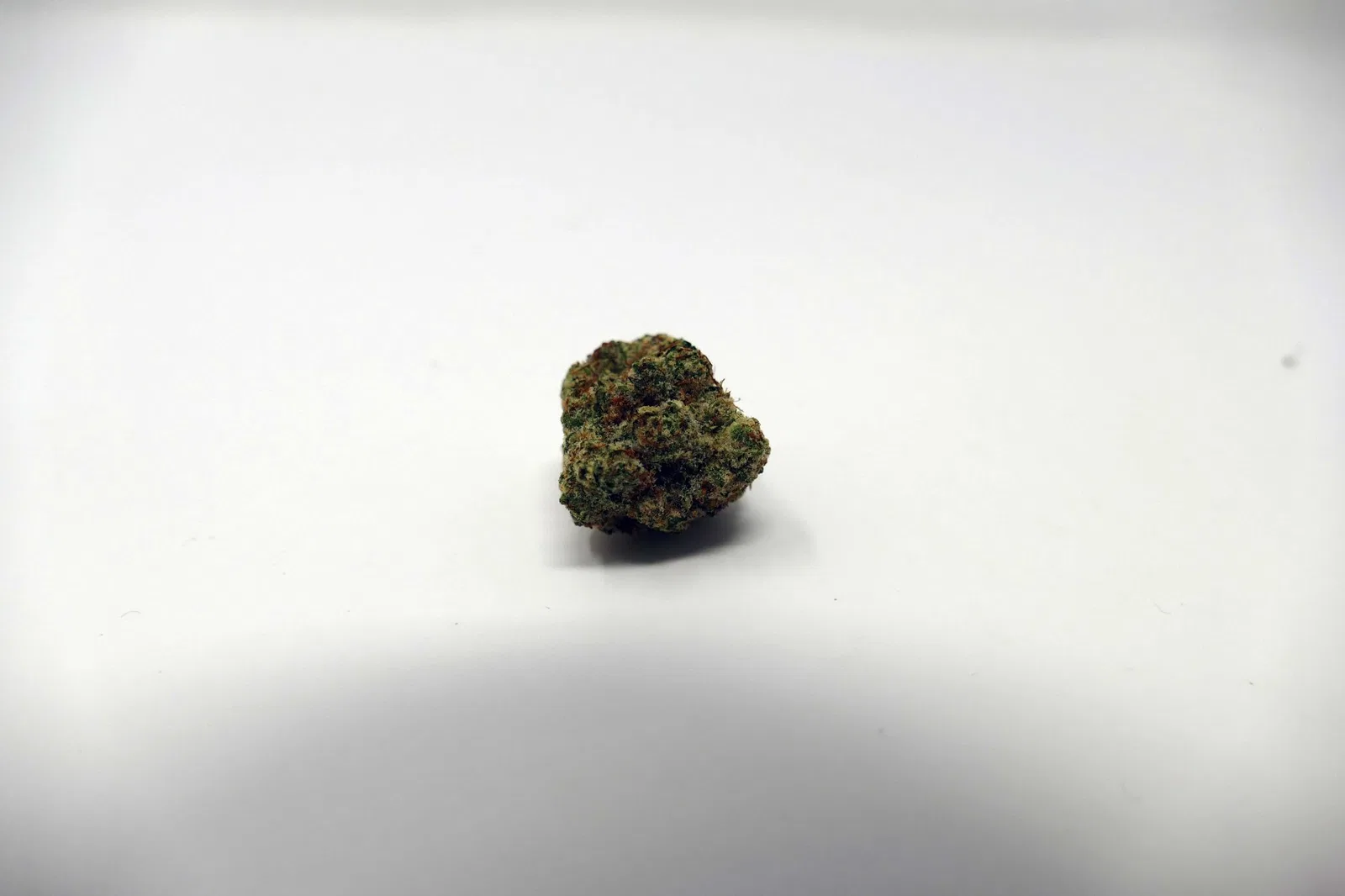 Zookies cannabis flower from the original UK review archive.