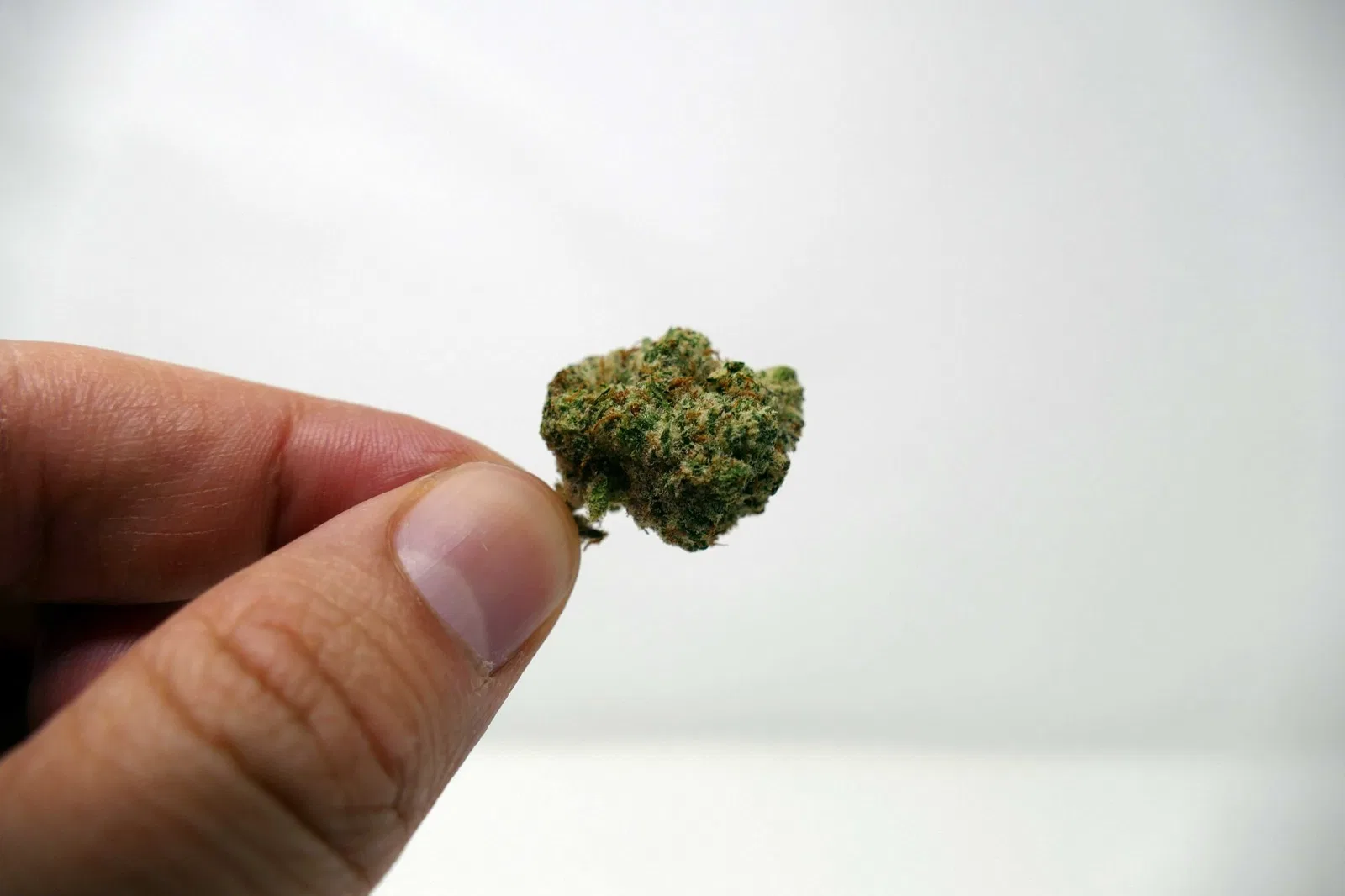 Zookies cannabis flower from the original UK review archive.